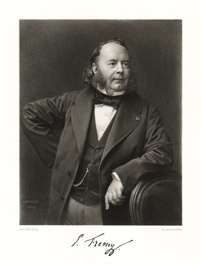 Edmond Fremy de Jean Baptiste Adolphe Lafosse